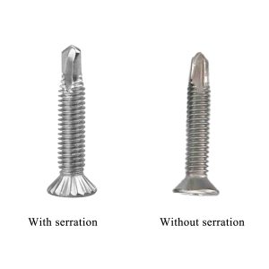 picture of fine thread self-drilling screws 1