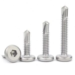 picture of hex socket self-drilling screws 1
