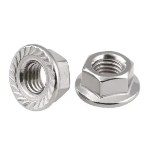 hex flange nuts 01